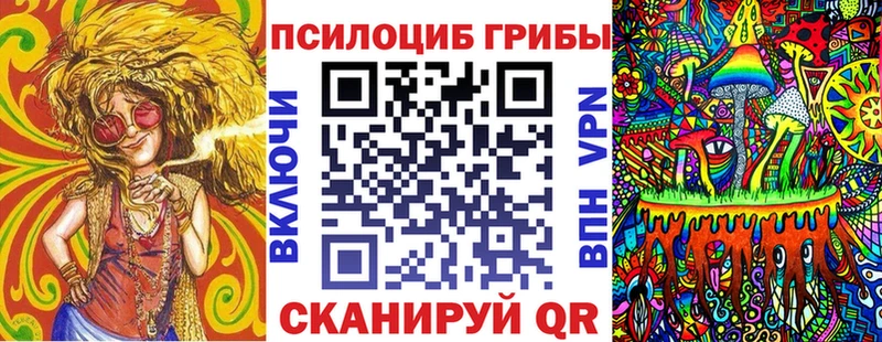 Псилоцибиновые грибы Psilocybine cubensis  Купить закладки  Суворов 